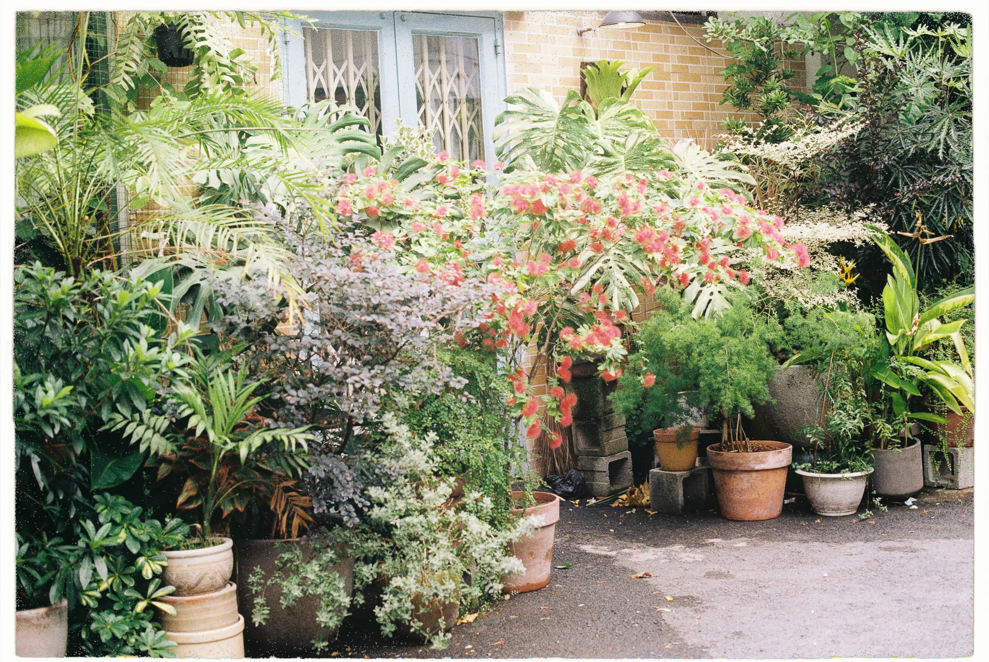 Không lạc lối, bạn chỉ đi theo đường người khác