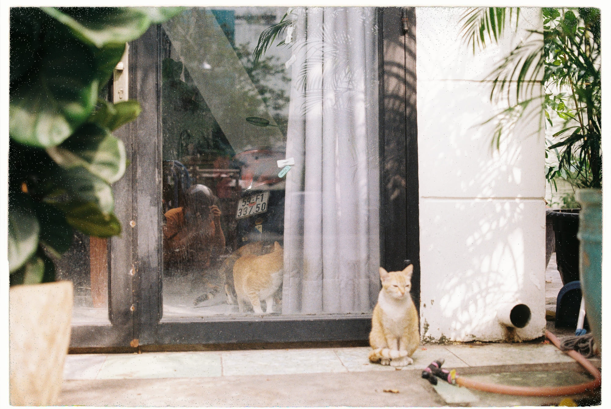 Bác sĩ Scotland kê đơn thiên nhiên cho bệnh nhân