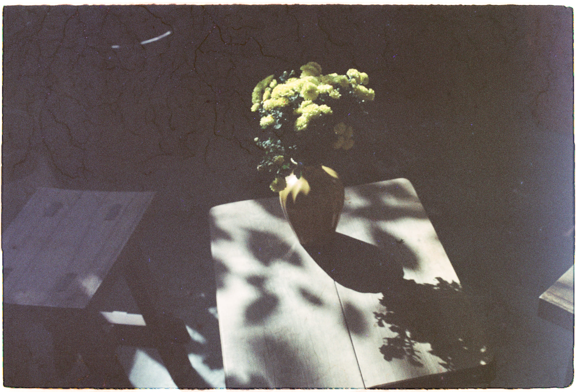 Lịch sử bất ổn của các trại hè Mỹ