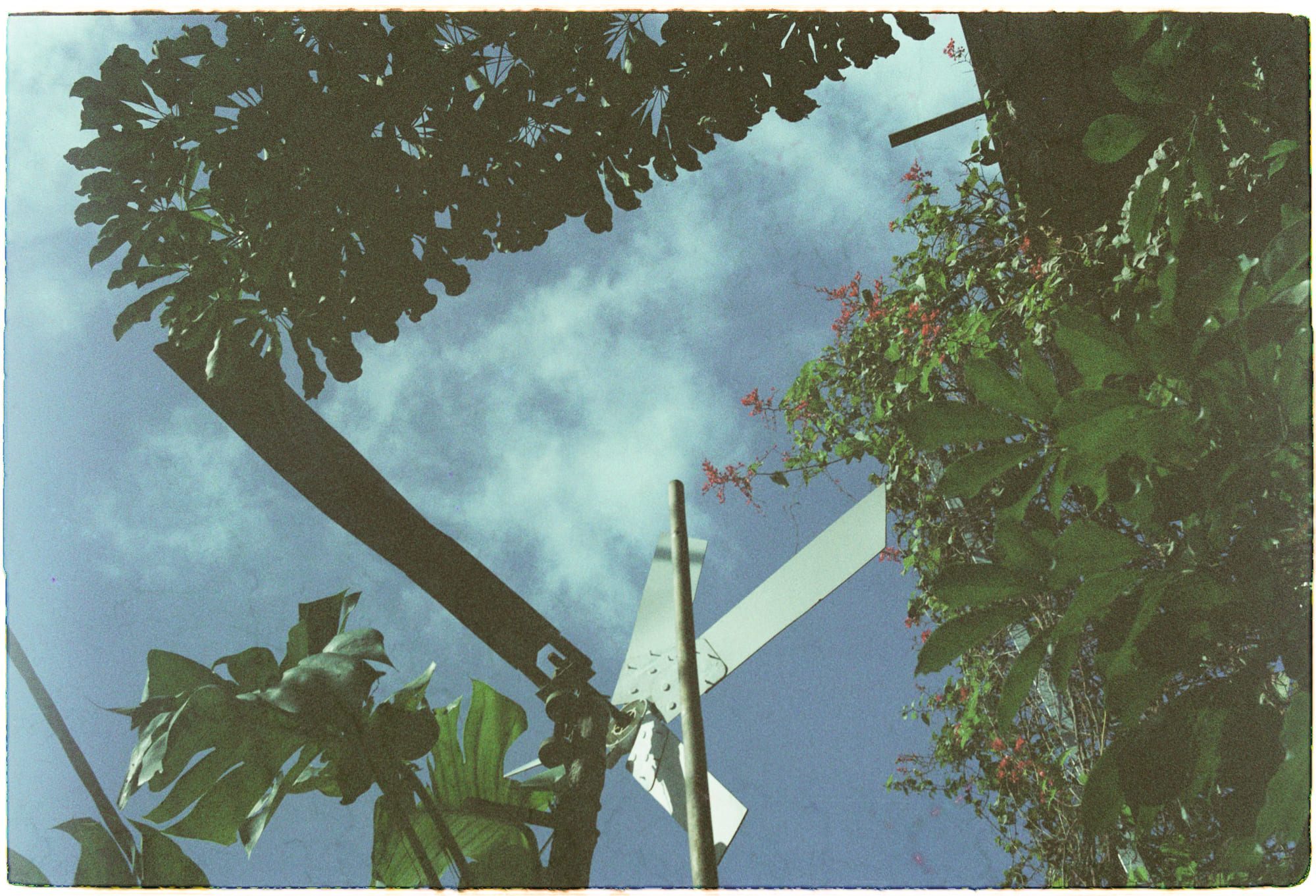 Giáng sinh trở thành lễ hội truyền thống Mỹ