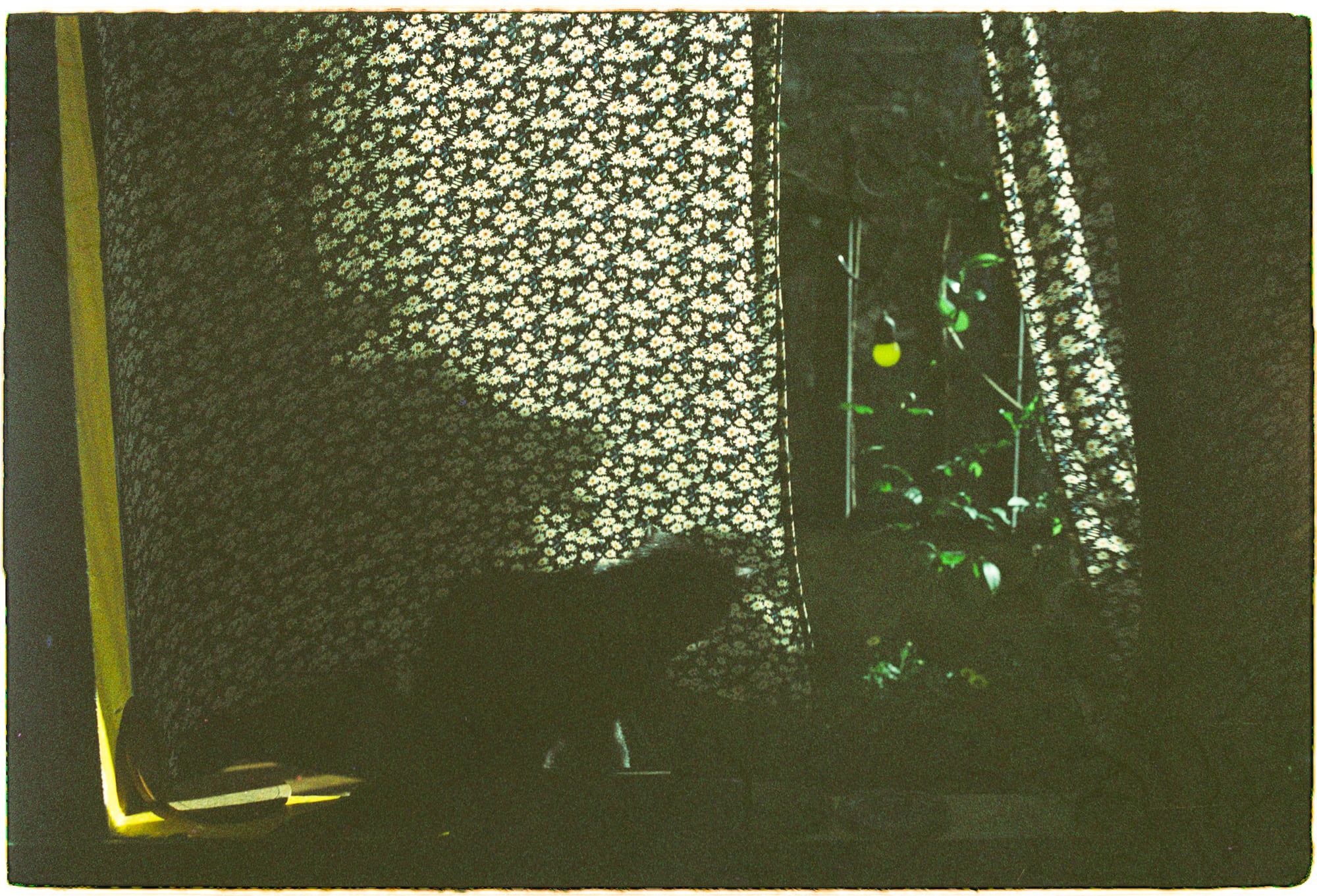 Câu chuyện về Ida B. Wells và People's Grocery