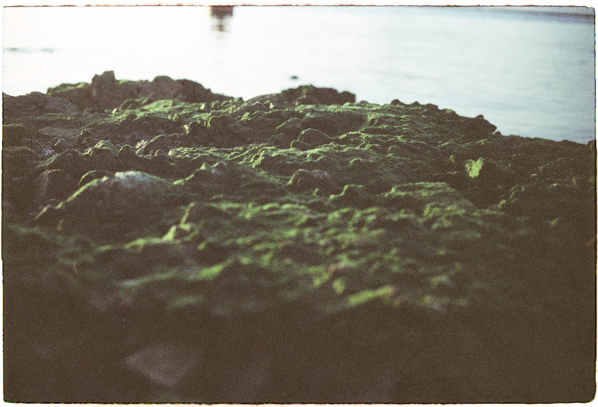 Thập nhị nhân duyên (Dvādasa Nidāna – 十二因緣) là gì?