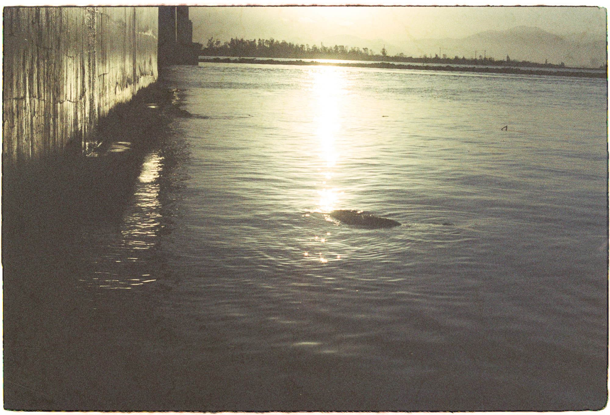 Tại sao cha đẻ của bom Hydro ghét Carl Sagan?