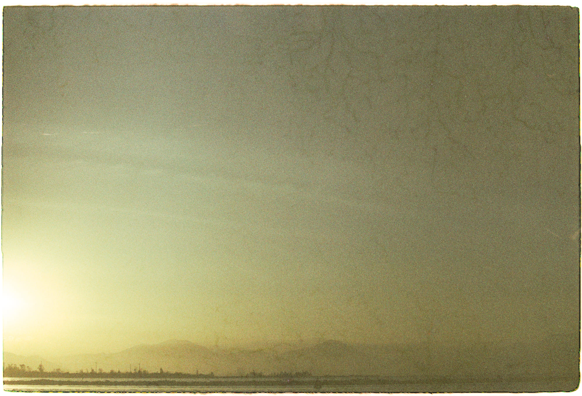 Không có động vật bậc cao, con người là ai