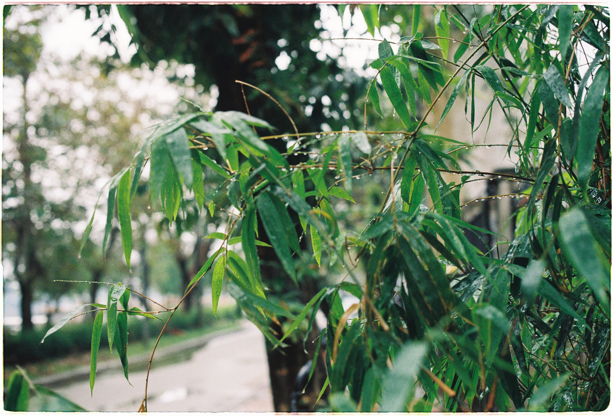 Thức ăn lành mạnh đắt hơn đồ ăn vặt