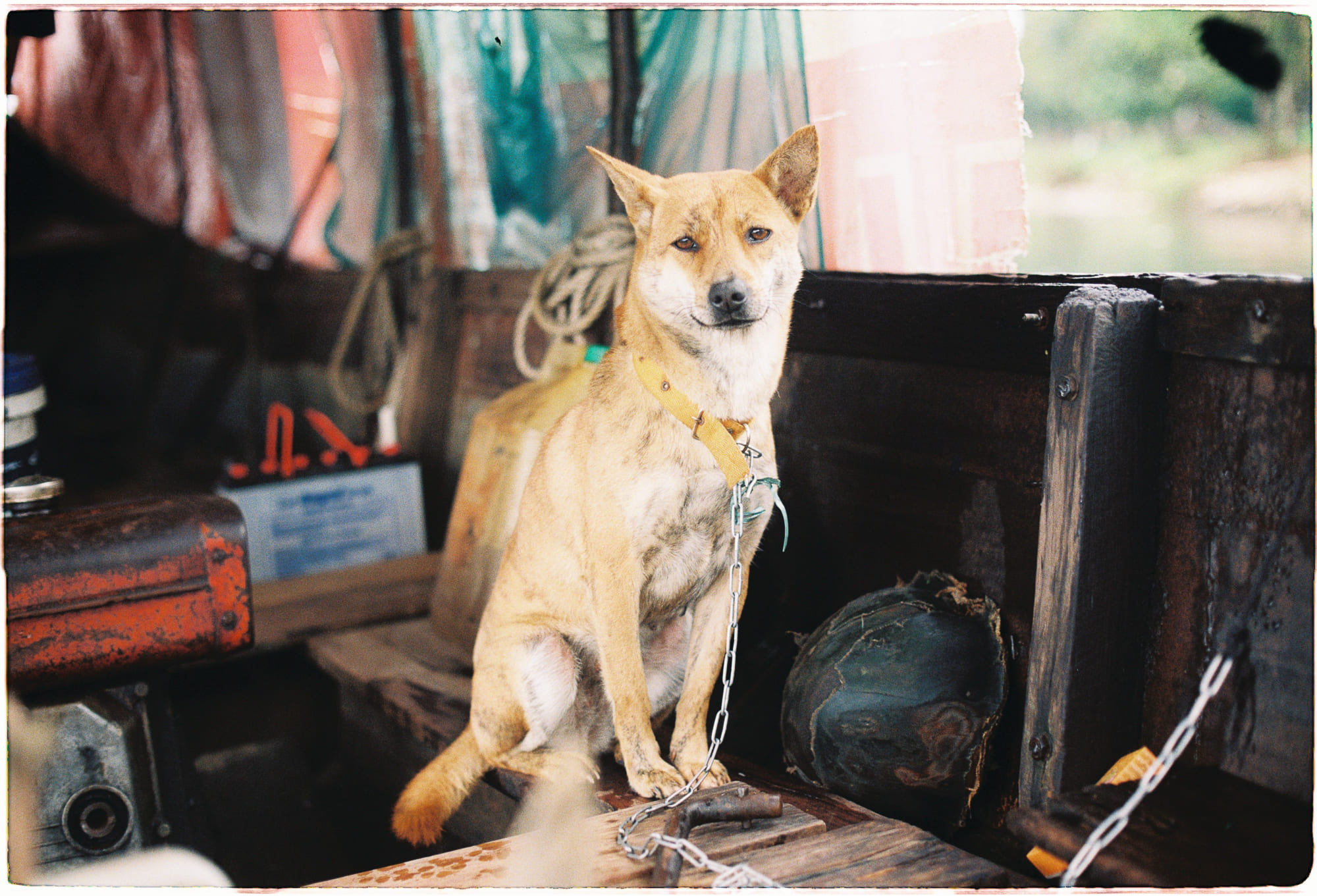 Danh sách theo thẻ bài nobel-van-hoc