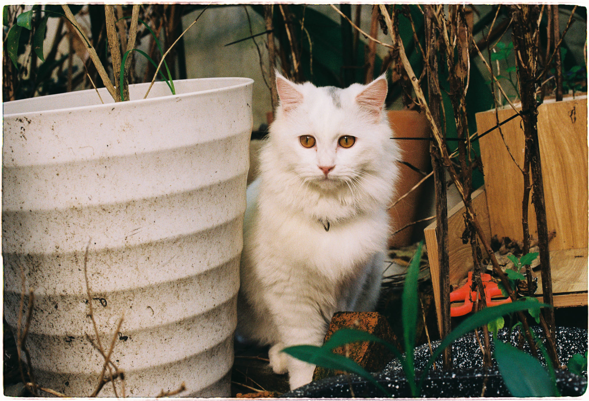 Kích thước thiên hà lớn nhất trong vũ trụ