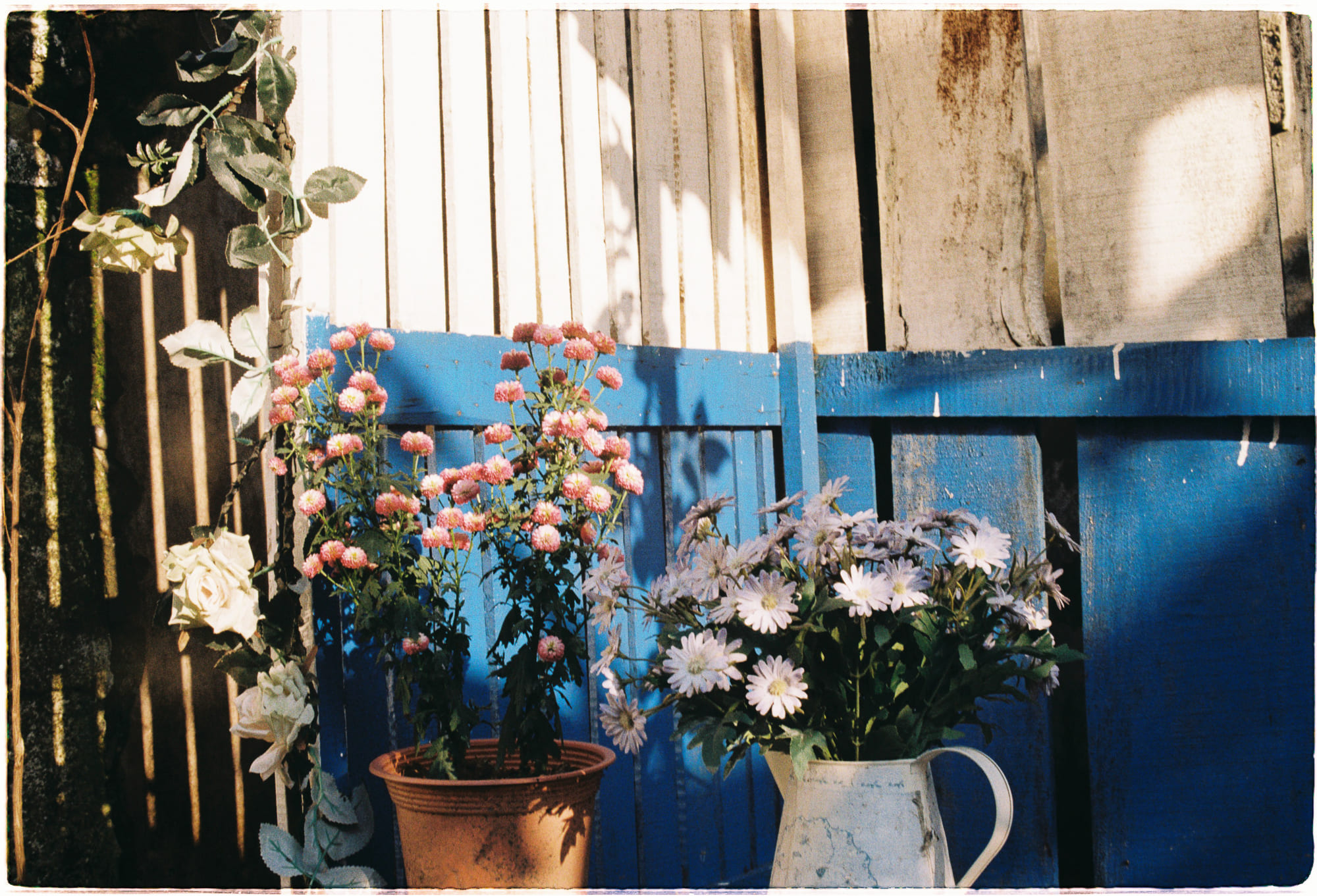 Hiệu ứng đám đông thống nhất quan điểm