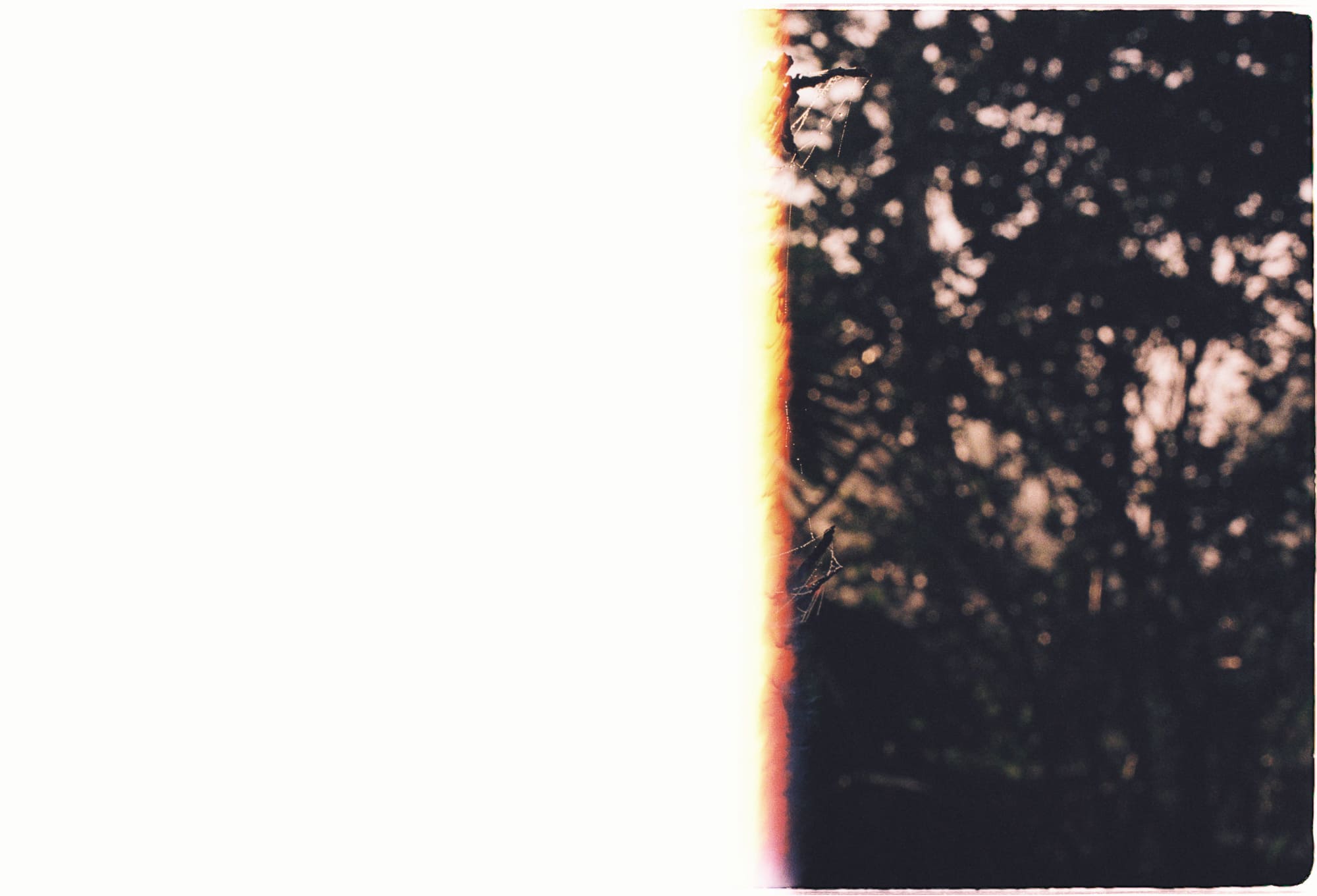 4 cách tăng tính sáng tạo trong công việc