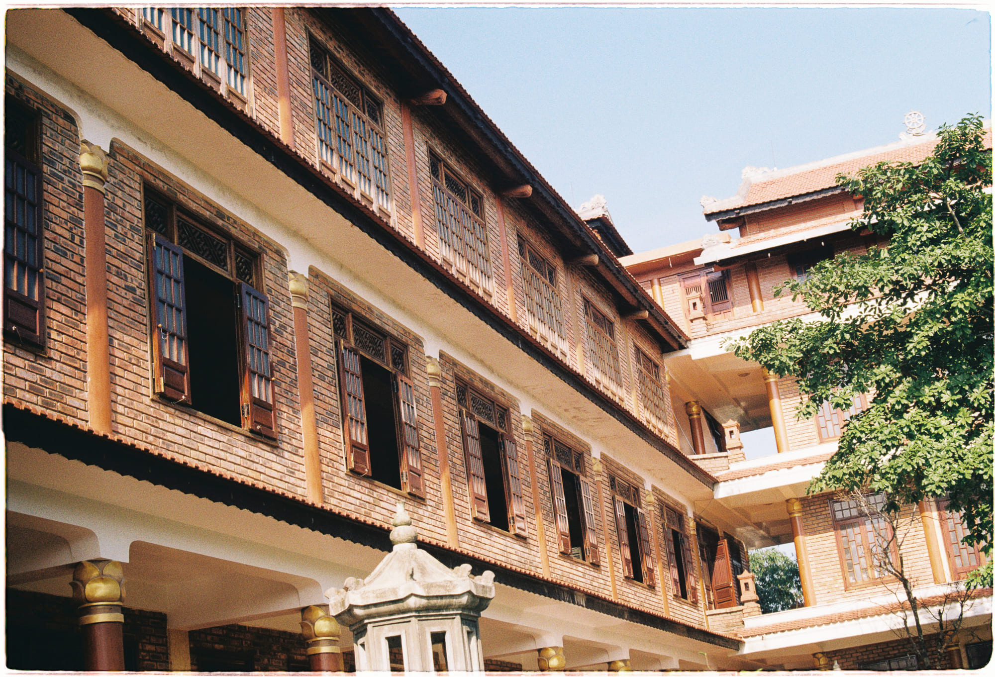 Khoa học khám phá vùng xám giữa sống và chết