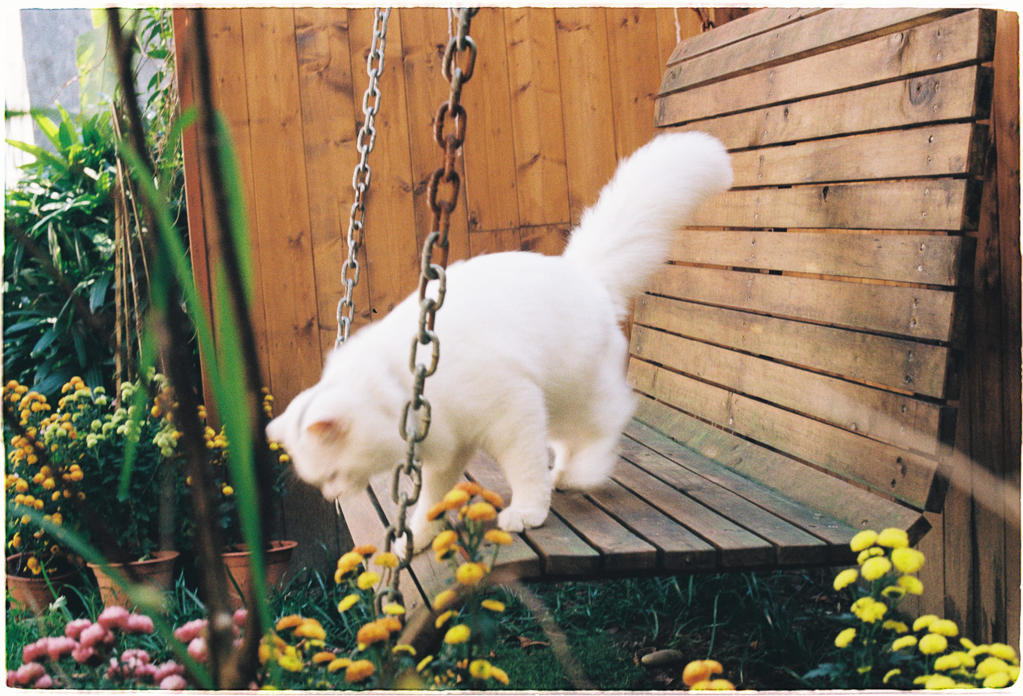 Điều gì sau khi Betelgeuse nổ siêu tân tinh