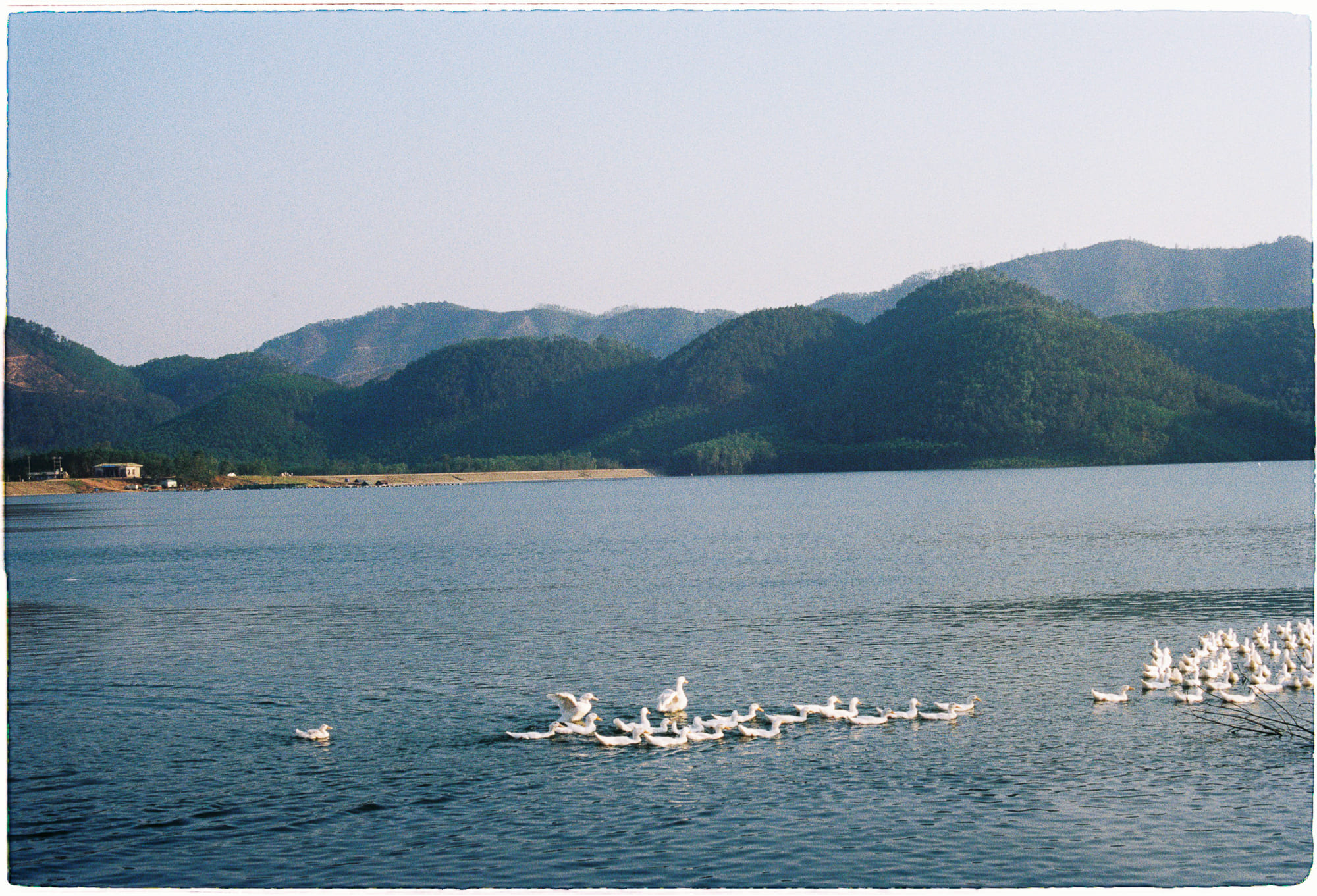 Tiếp nhận tích cực cân bằng suy nghĩ tiêu cực