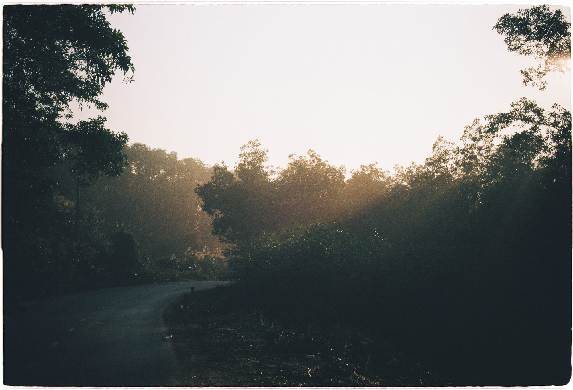 Cơn đói muốn là tất cả