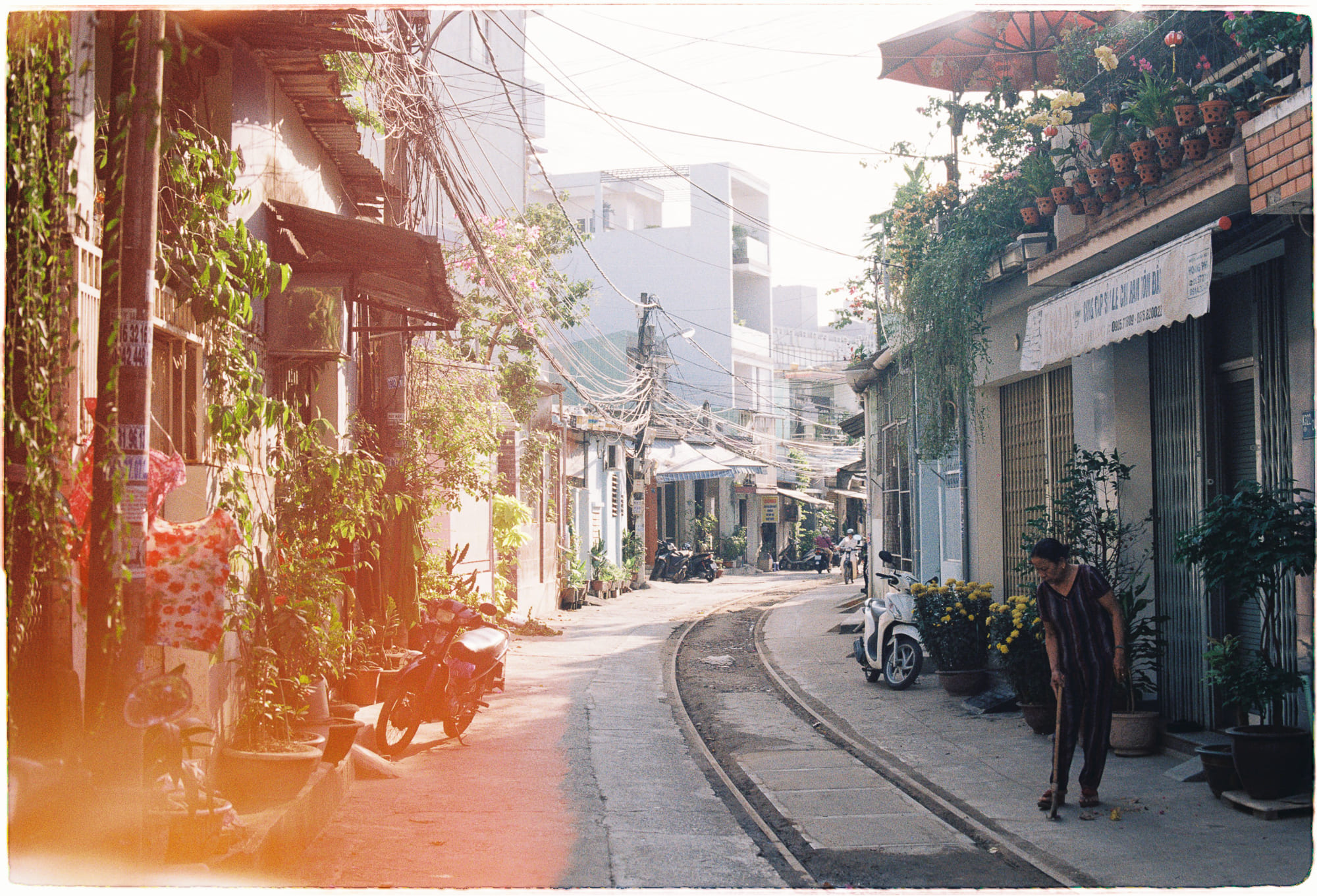 Diễn từ Nobel Văn học 2006 – Về việc không giành được giải Nobel, Doris Lessing