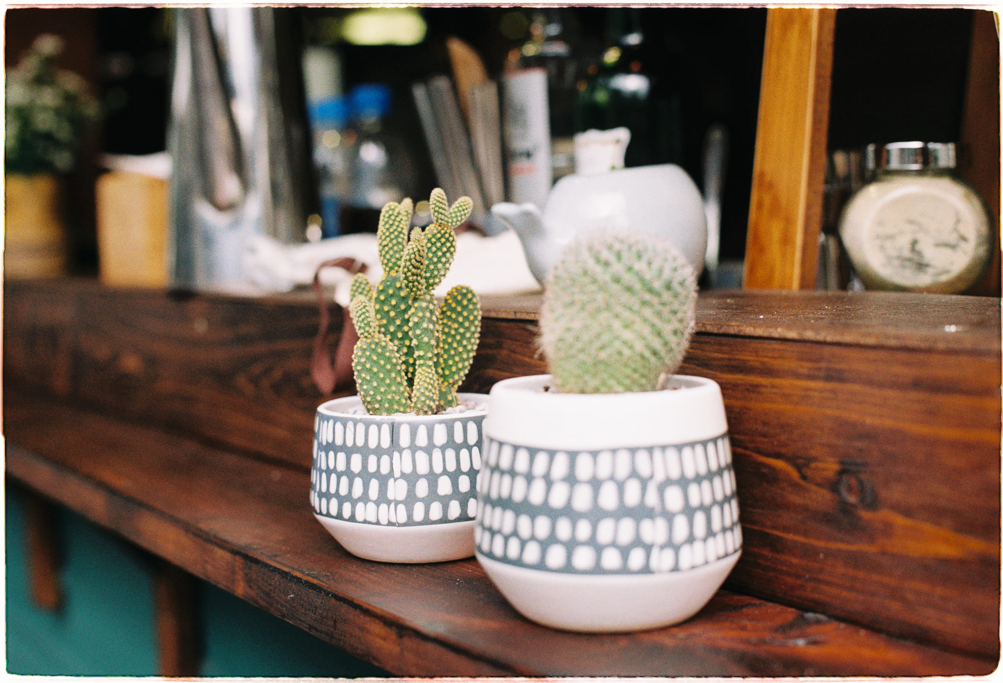 Trung tâm phát triển văn hóa đọc Nhà văn