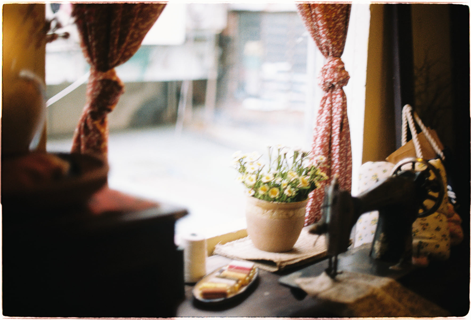 Nhiệt độ nhiệt đới làm tăng carbon trong không khí