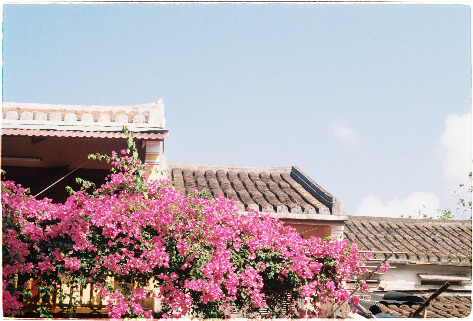 Tại sao chúng ta mơ?