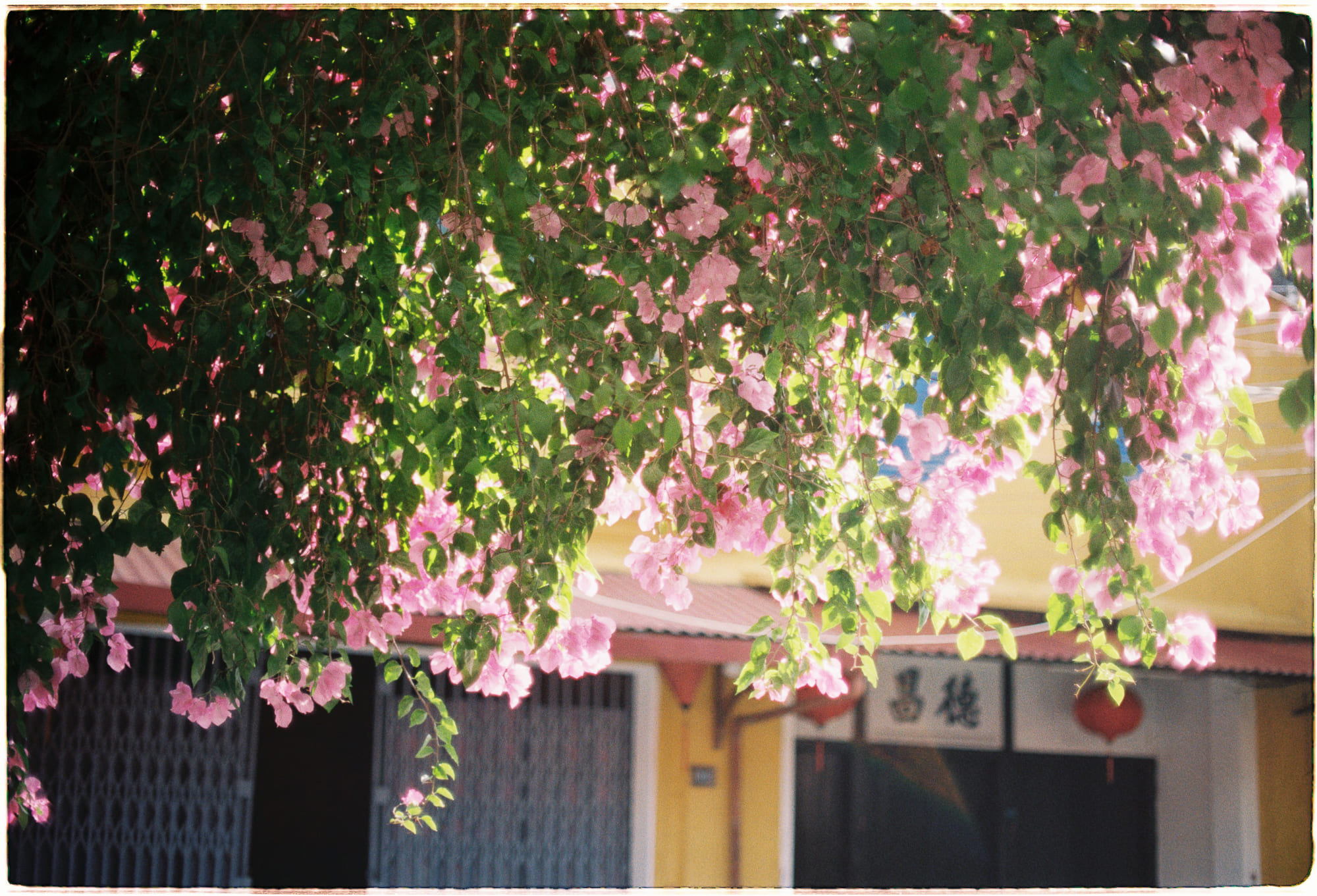 Các nền văn minh ngoài hành tinh kém tiên tiến hơn