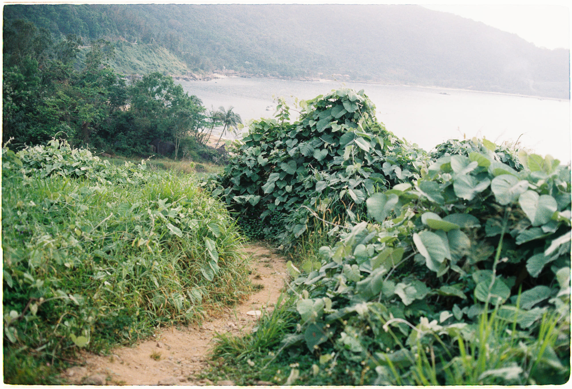 Sự kiện ngẫu nhiên định hình dòng chảy lịch sử