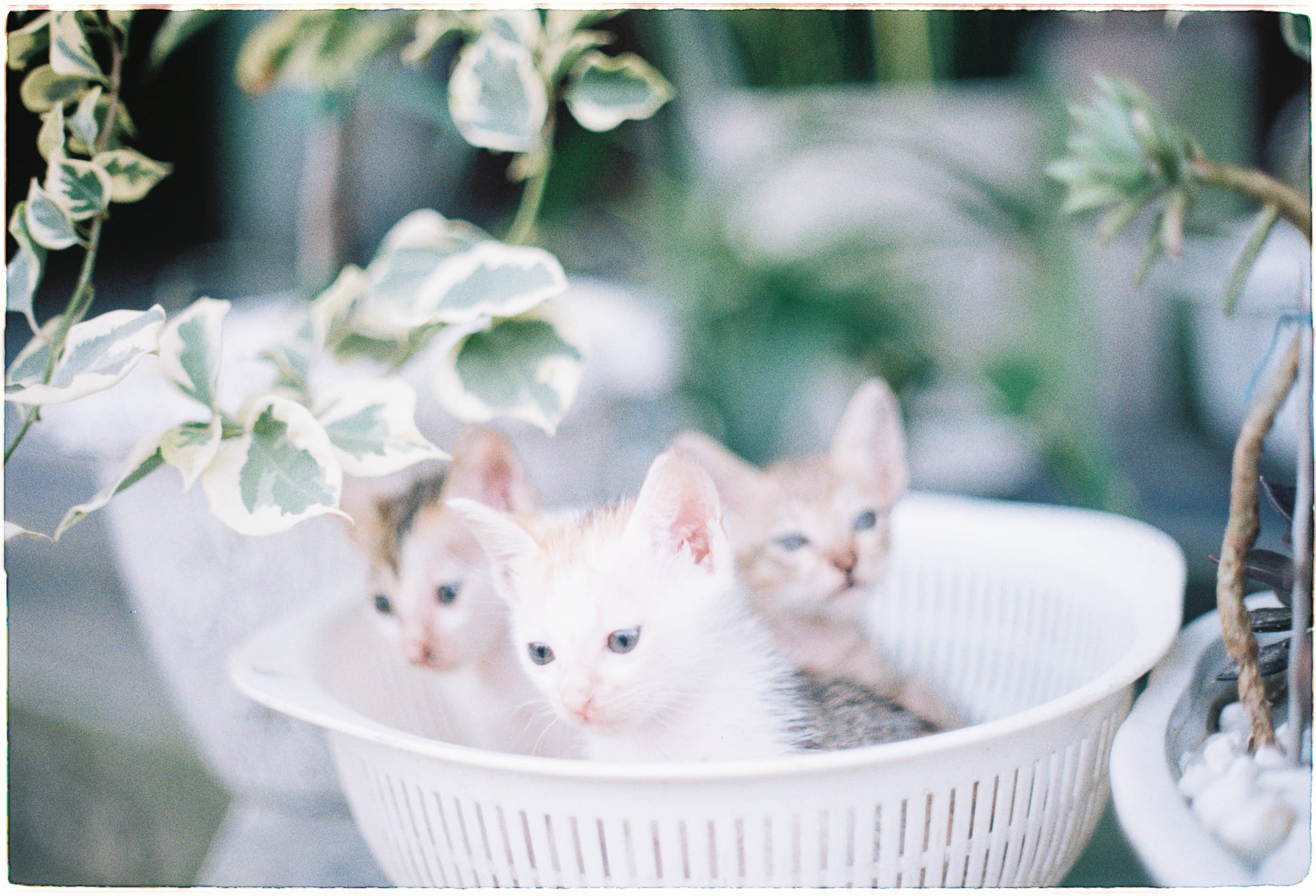 7 cuốn sách triết học định hình tư tưởng phương Tây