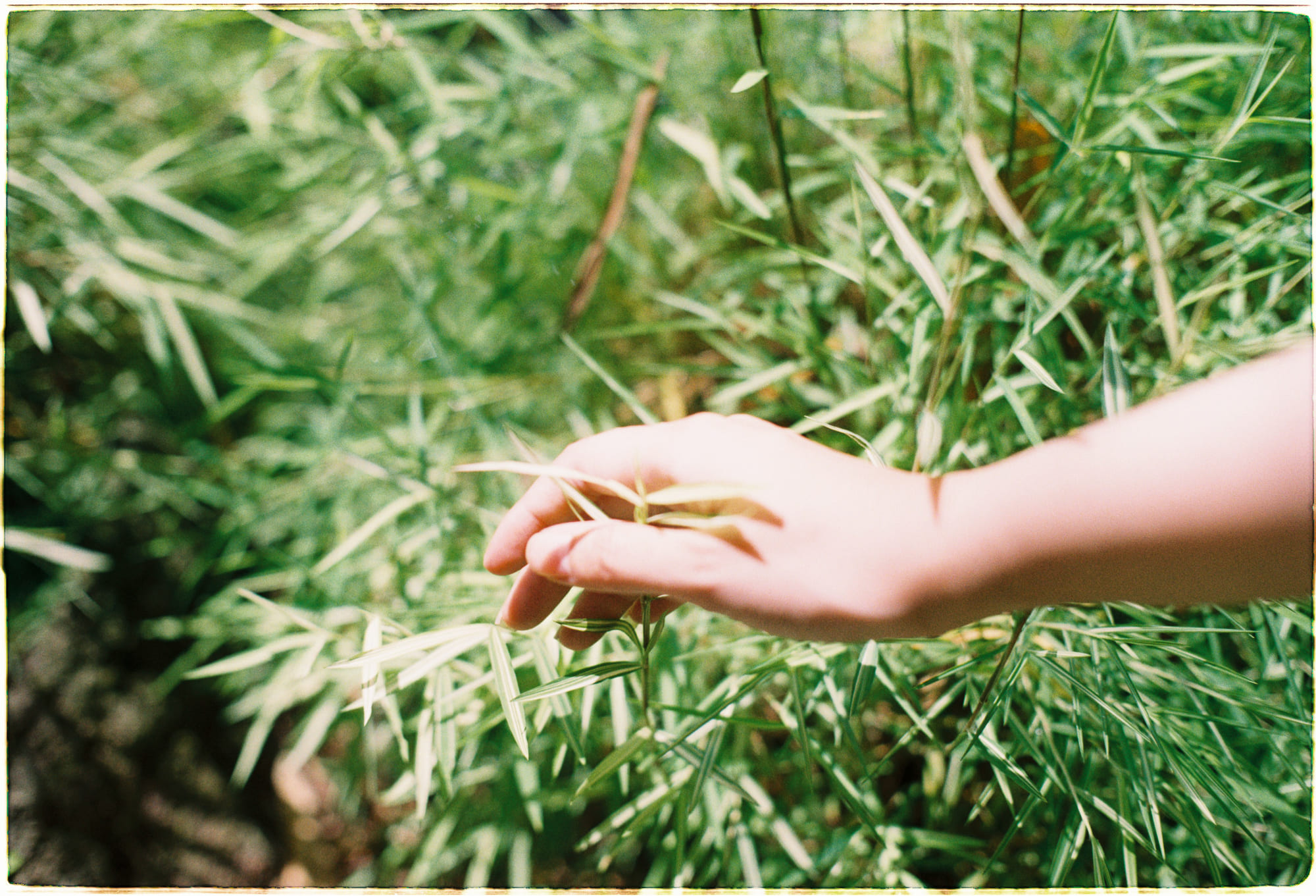 Trung tâm phát triển văn hóa đọc Nhà văn