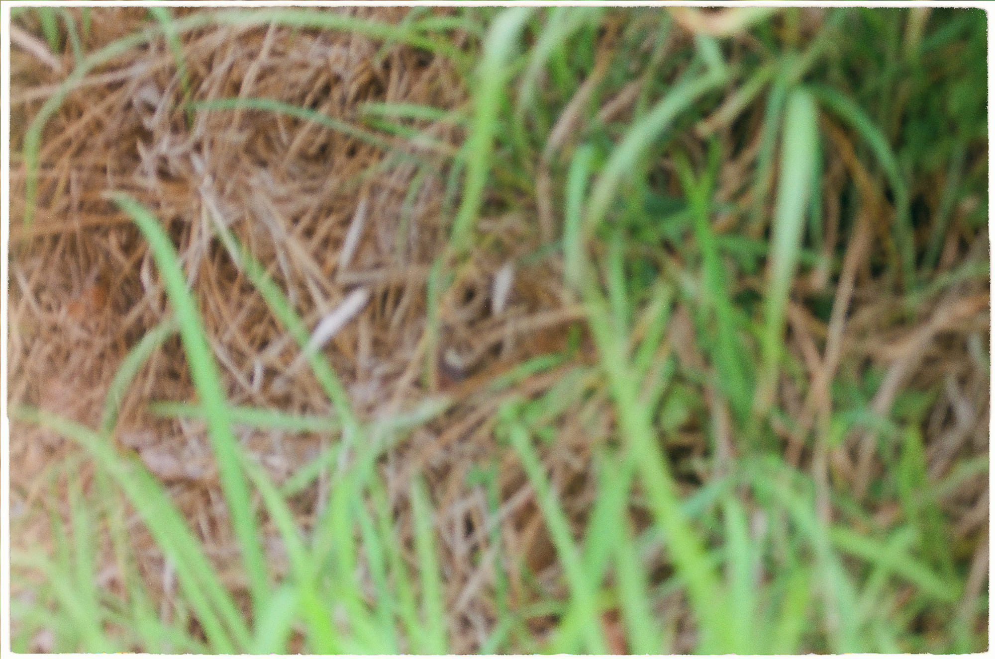 Ánh sáng từ Big Bang hay ngôi sao nhiều hơn