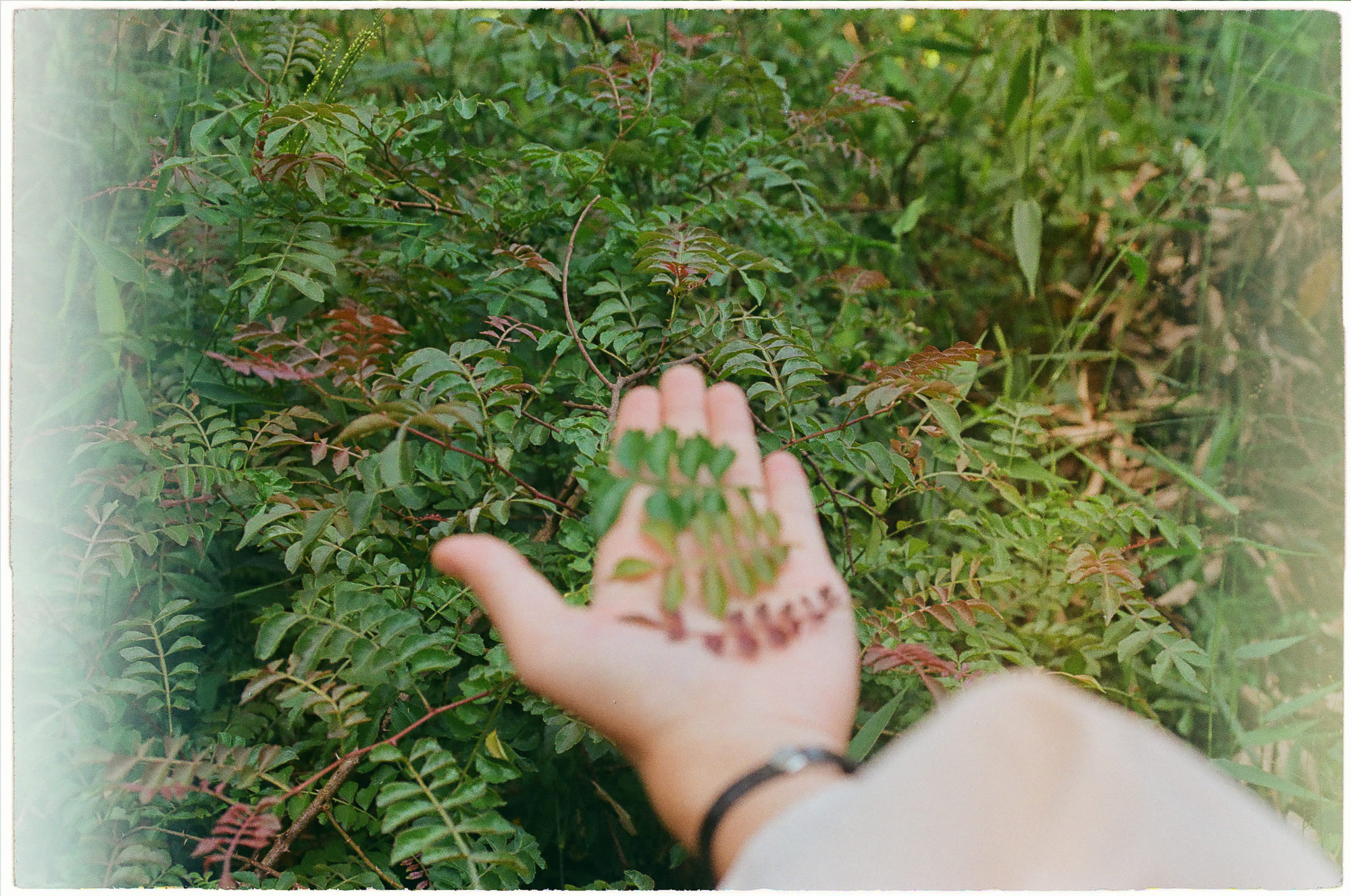 Tuyển tập viết văn năm 2019