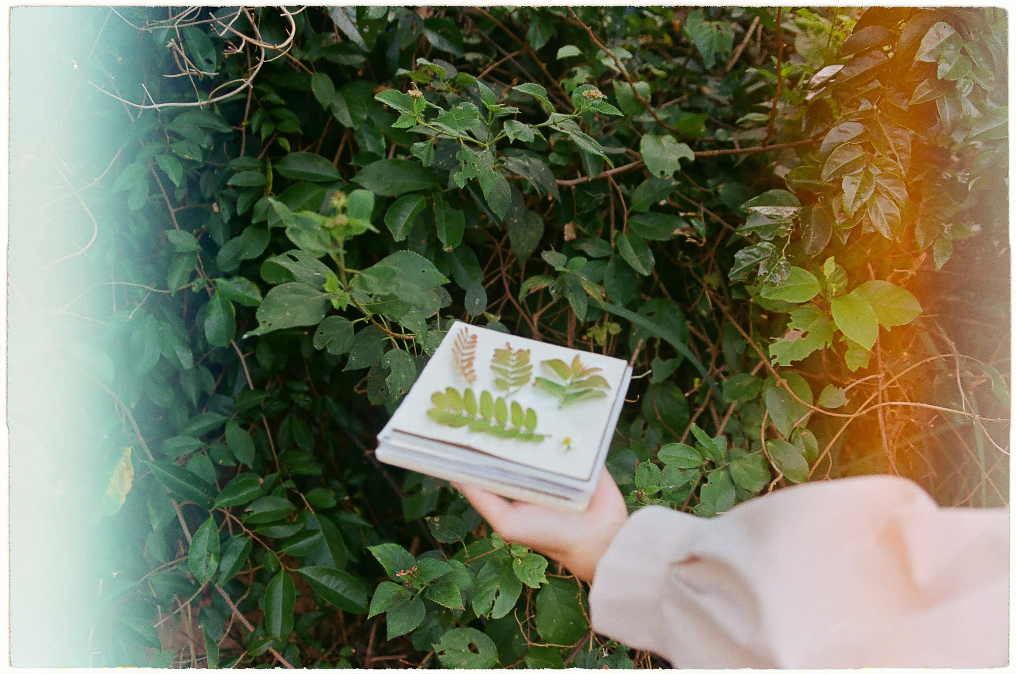 Cải thiện đồng cảm trong giãn cách xã hội