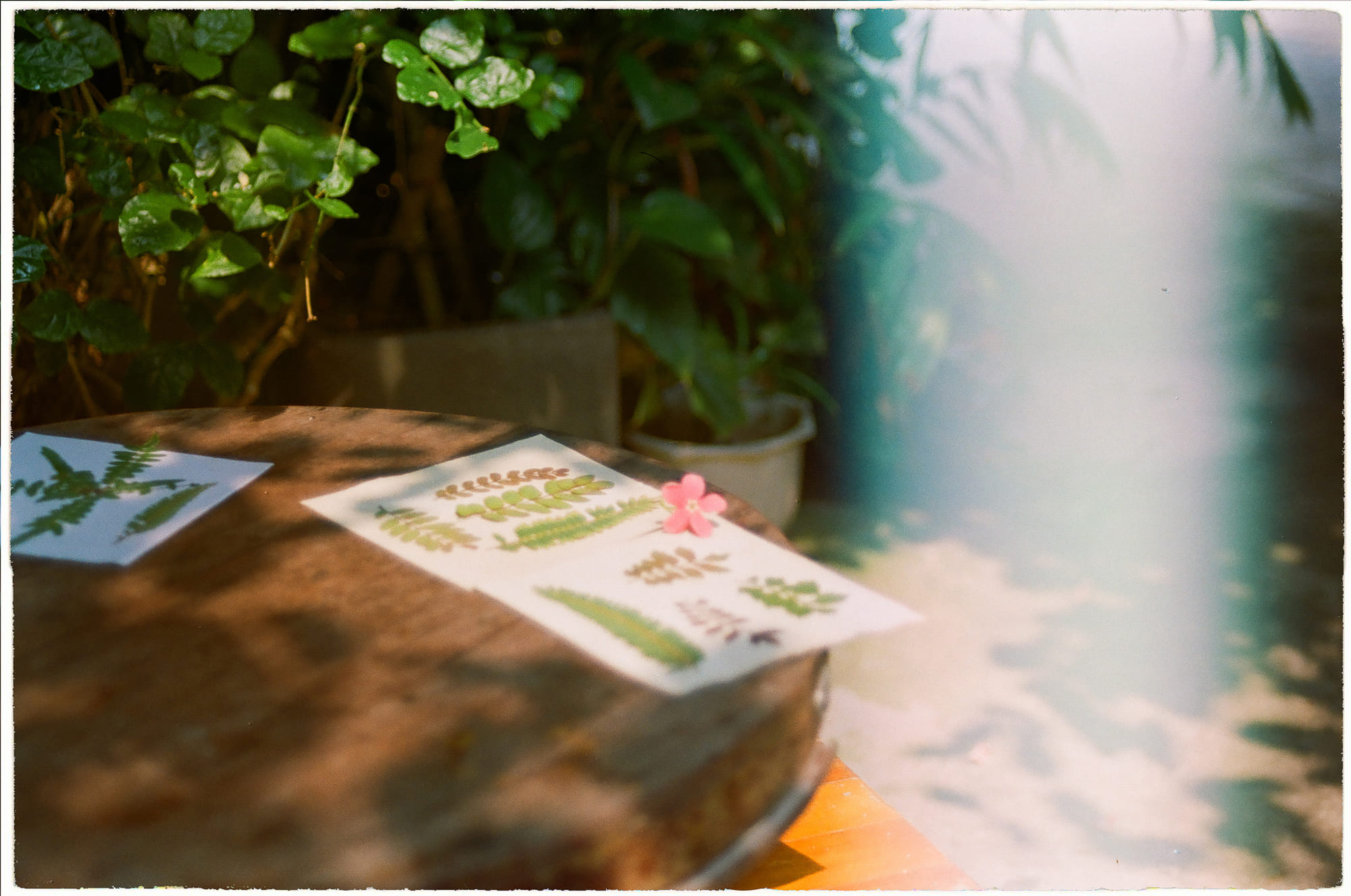 3 công cụ tư duy phản biện của Daniel Dennett