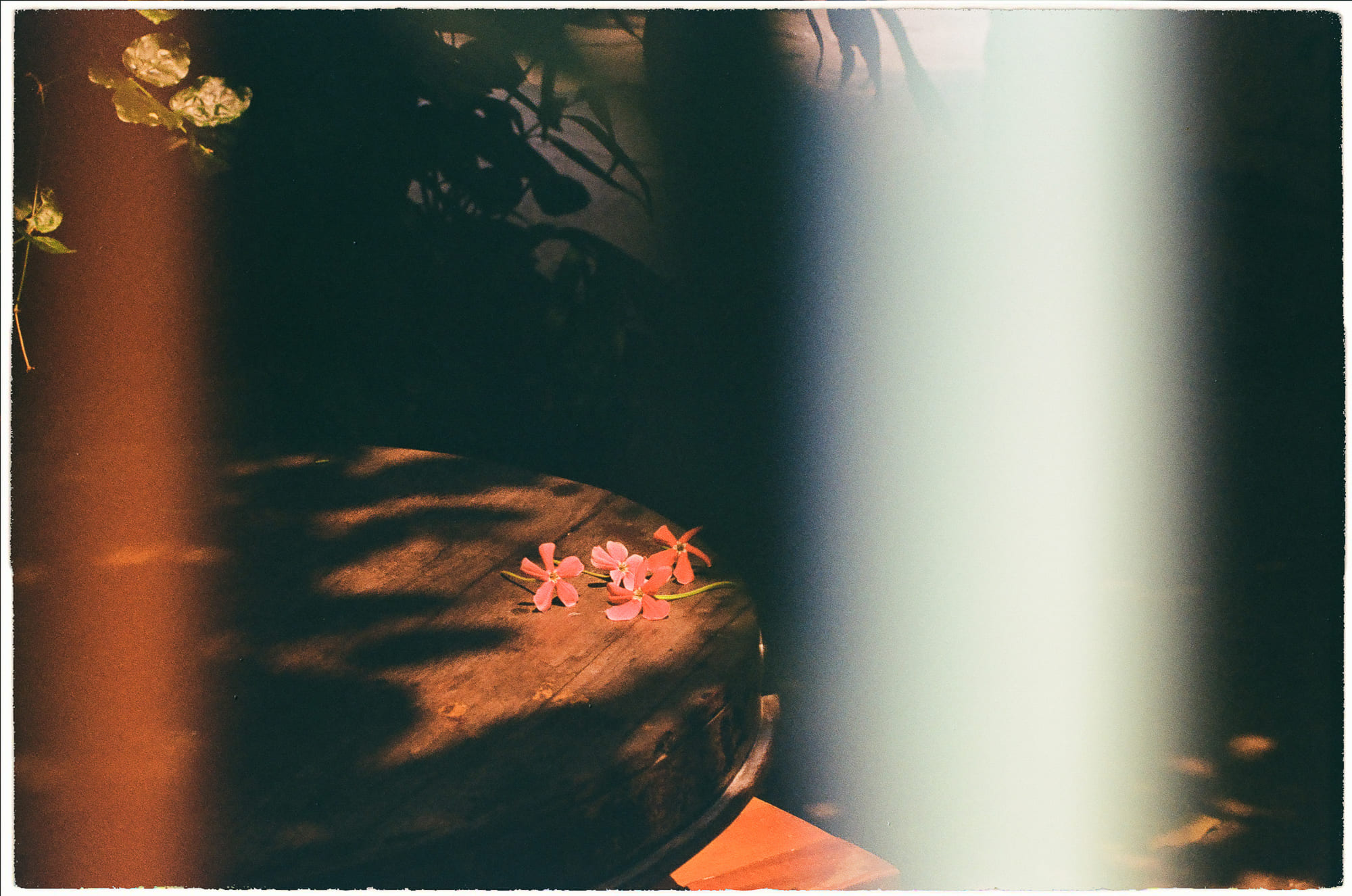 Danh sách theo thẻ bài kien-thuc-phat-giao, trang 2