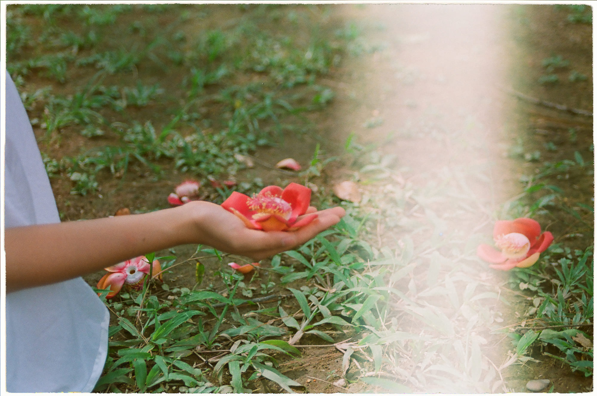 Khám phá là tất yếu hay ngẫu nhiên may mắn?