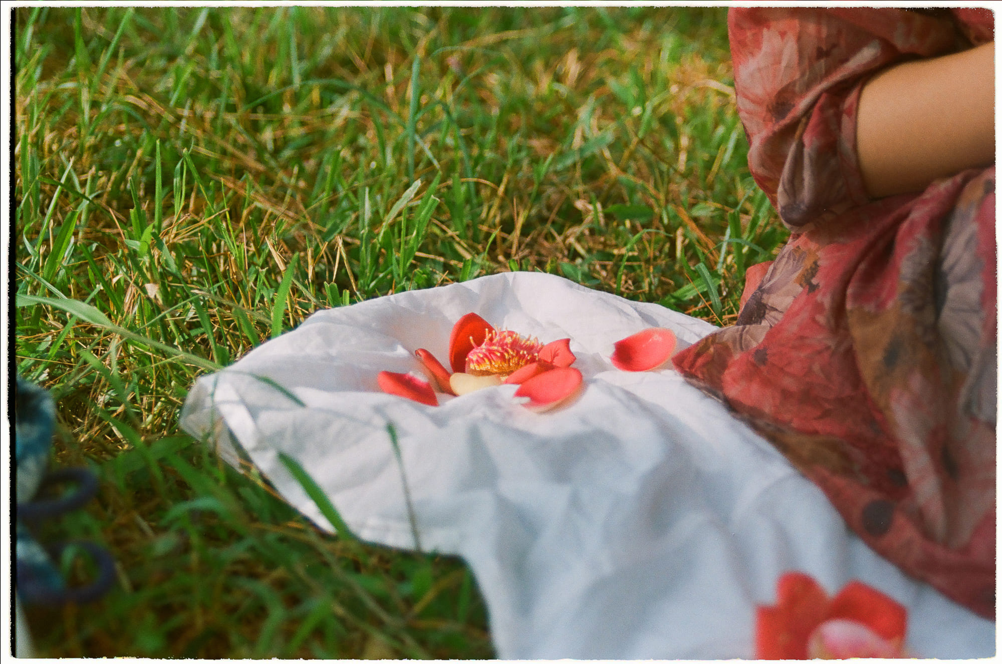 Thỏa thuận với ý chí tự do là gì?