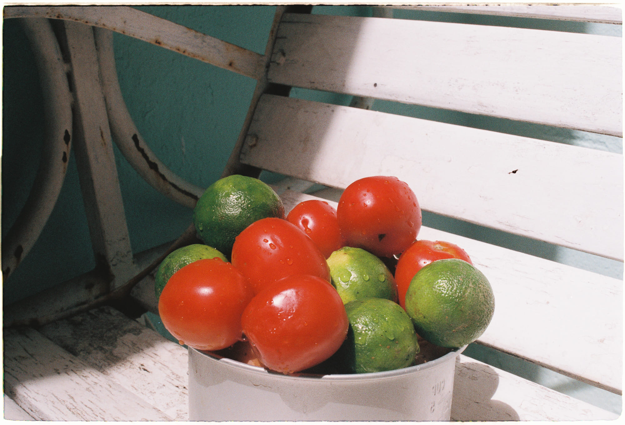 Giảm rác thải nhựa có tốt cho môi trường không?