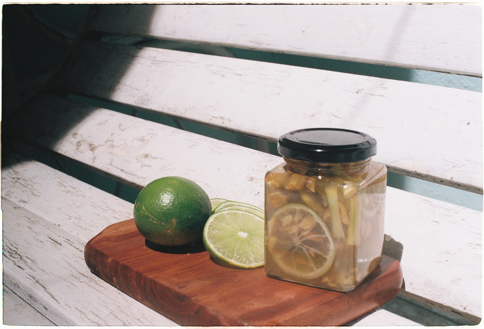 Cây gỗ đỏ có hai loại lá khác nhau