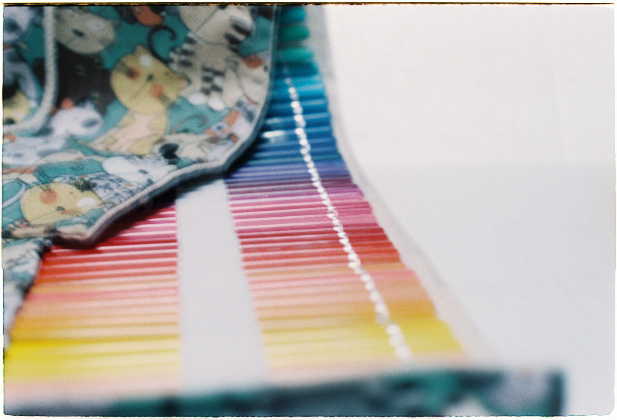 Cuộc sống không chỉ là sự sinh tồn của kẻ mạnh nhất