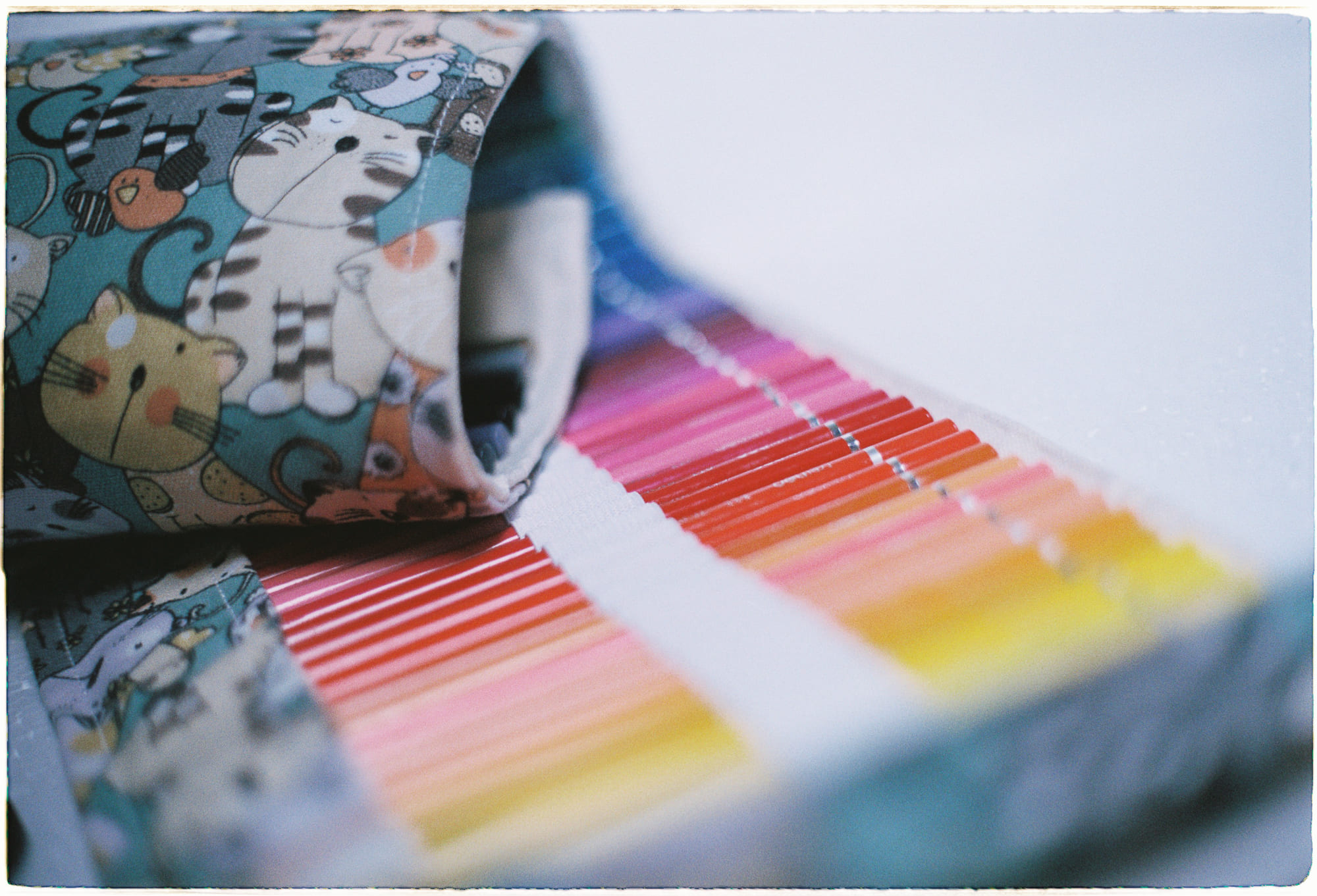 Đạo đức khi chen chân xếp hàng