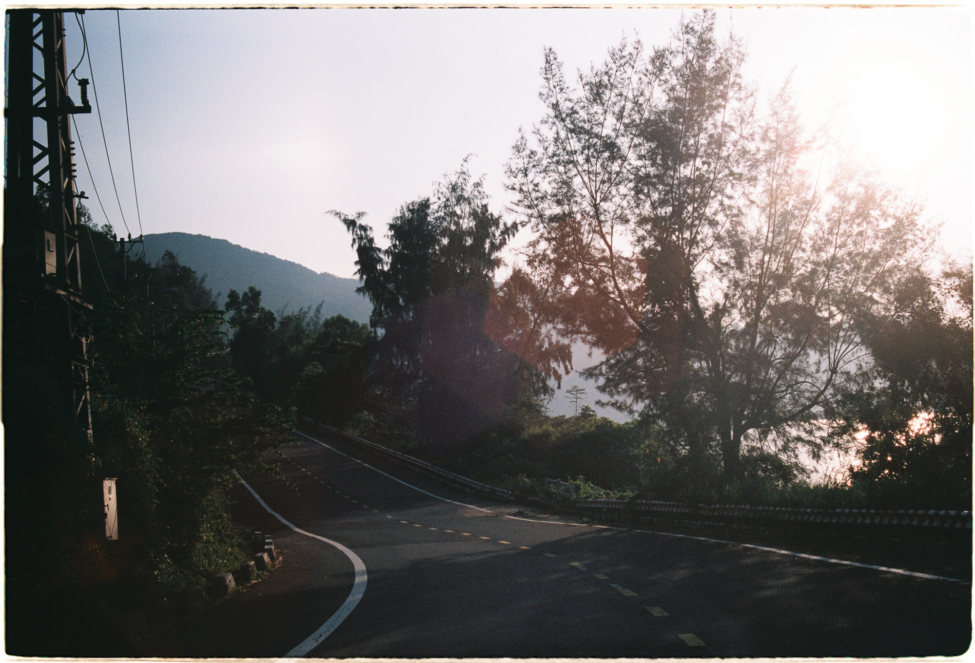 Vi nhựa có thực sự hủy hoại sức khỏe của chúng ta?