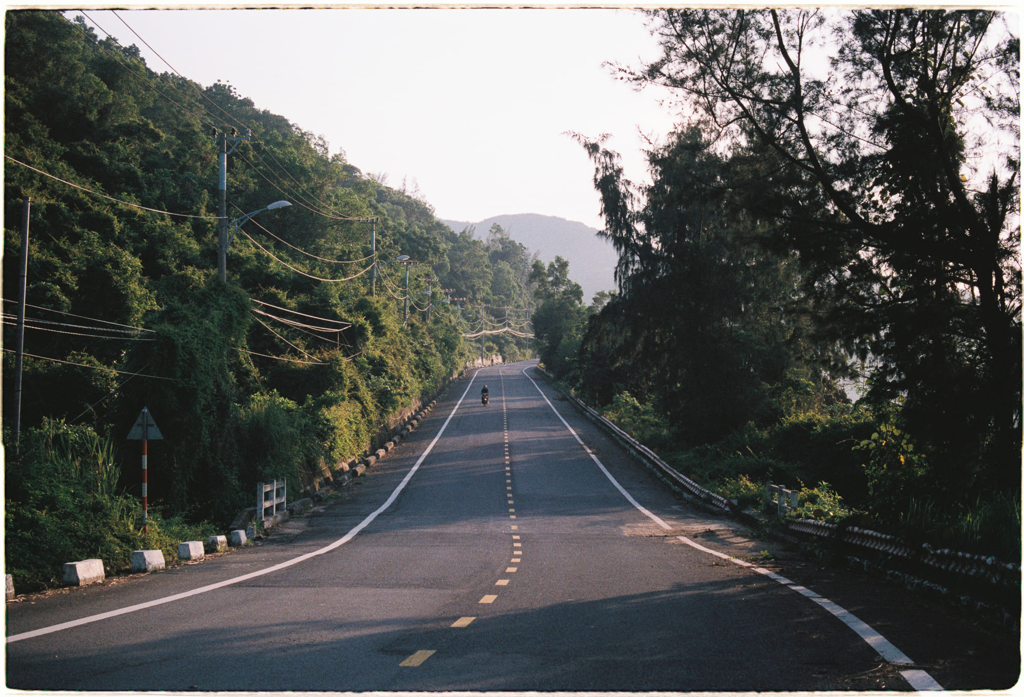 Nhận thức cái chết và trí thông minh động vật