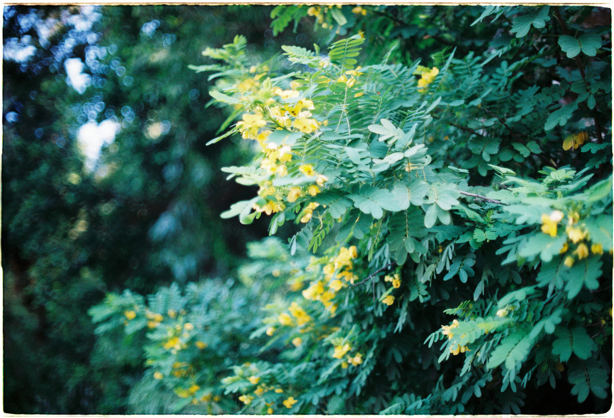 8 bài học học tập suốt đời từ nhà vật lý