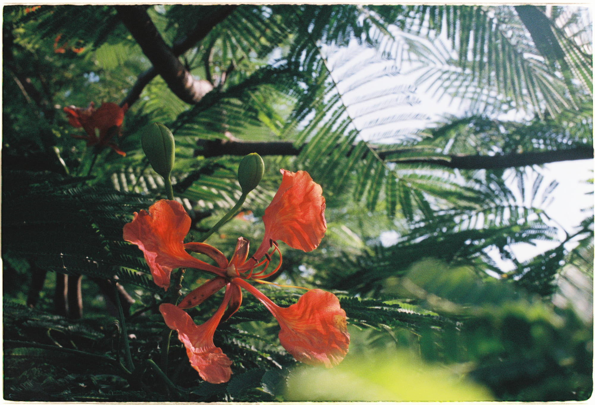 Sự sống ngoài hành tinh sẽ trông như thế nào