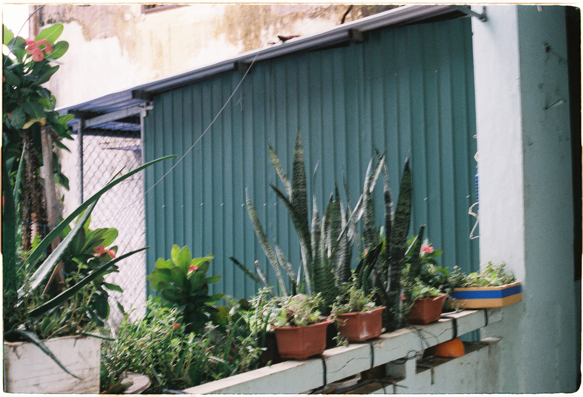 Danh sách theo thẻ bài cai-thien-ban-than, trang 5