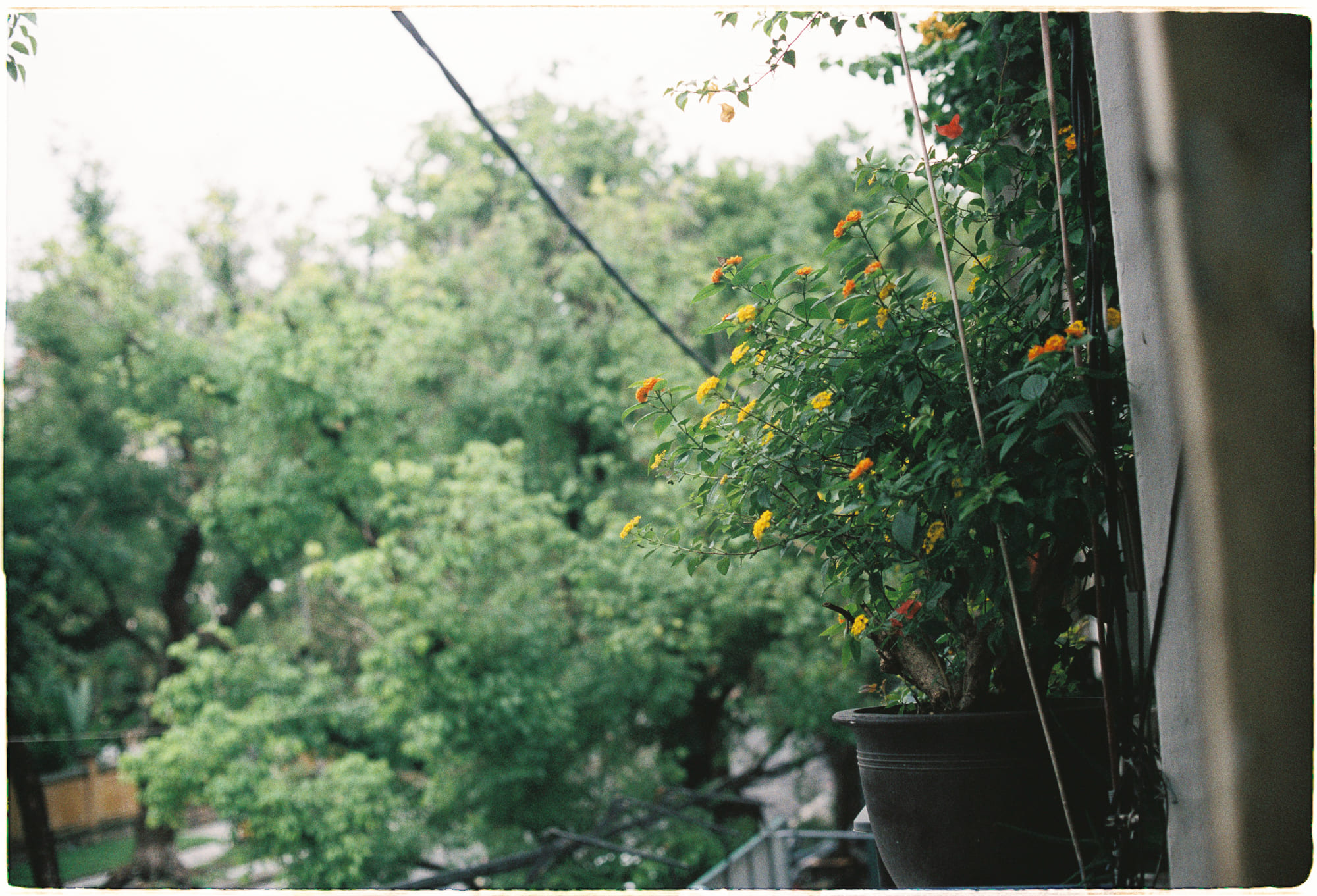 Vật lý hạt sau va chạm cuối cùng