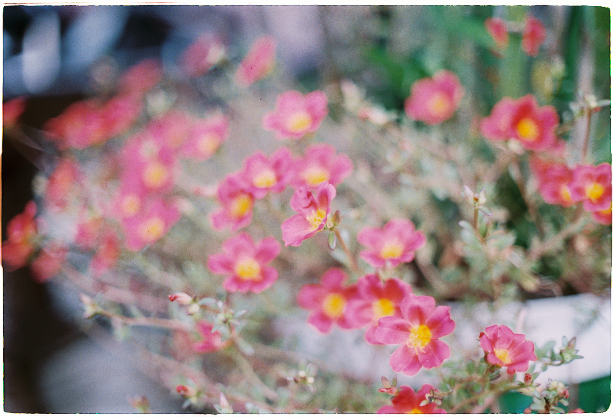 Trung tâm phát triển văn hóa đọc Nhà văn