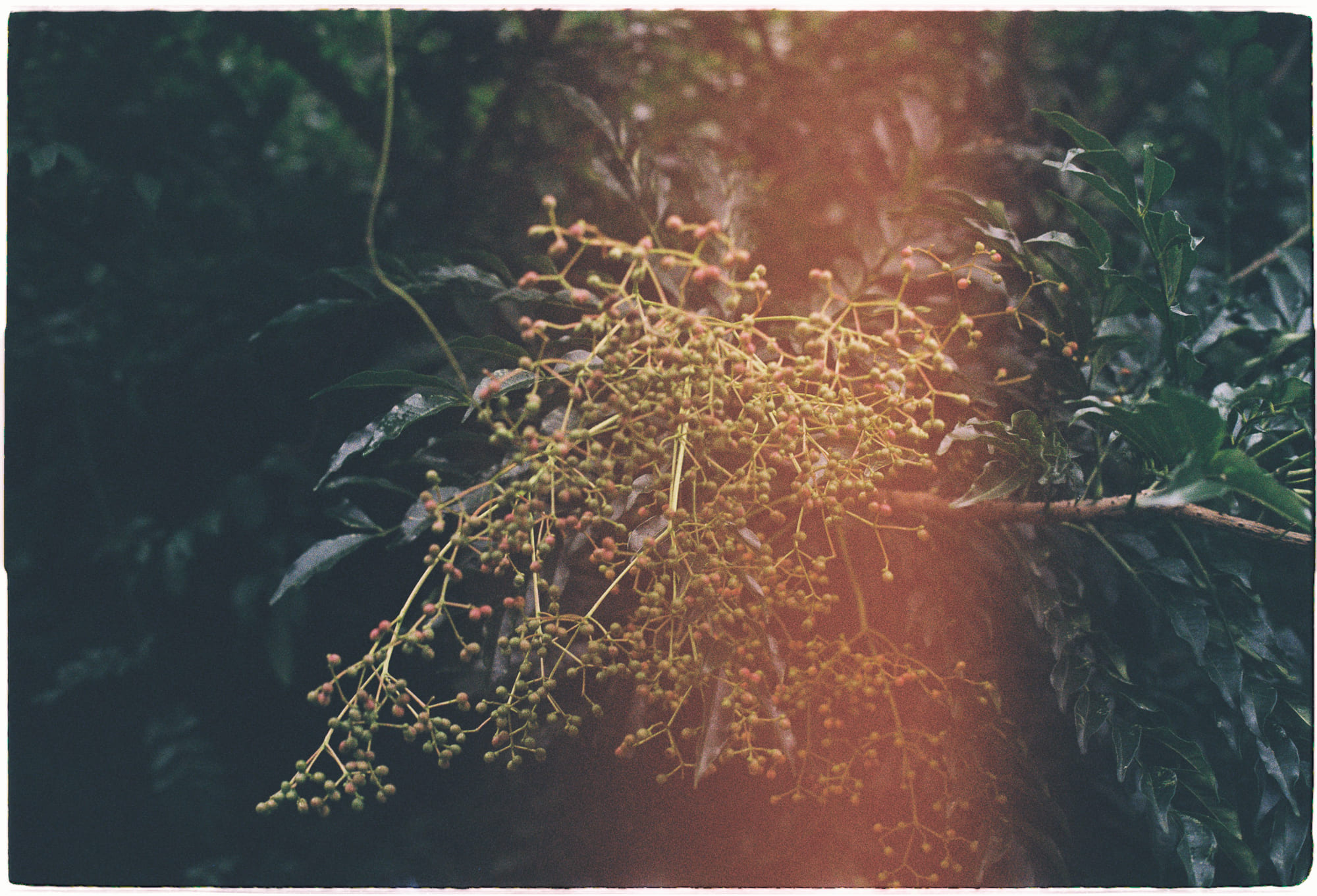 Yêu nhau đâu chỉ là cởi áo cho nhau