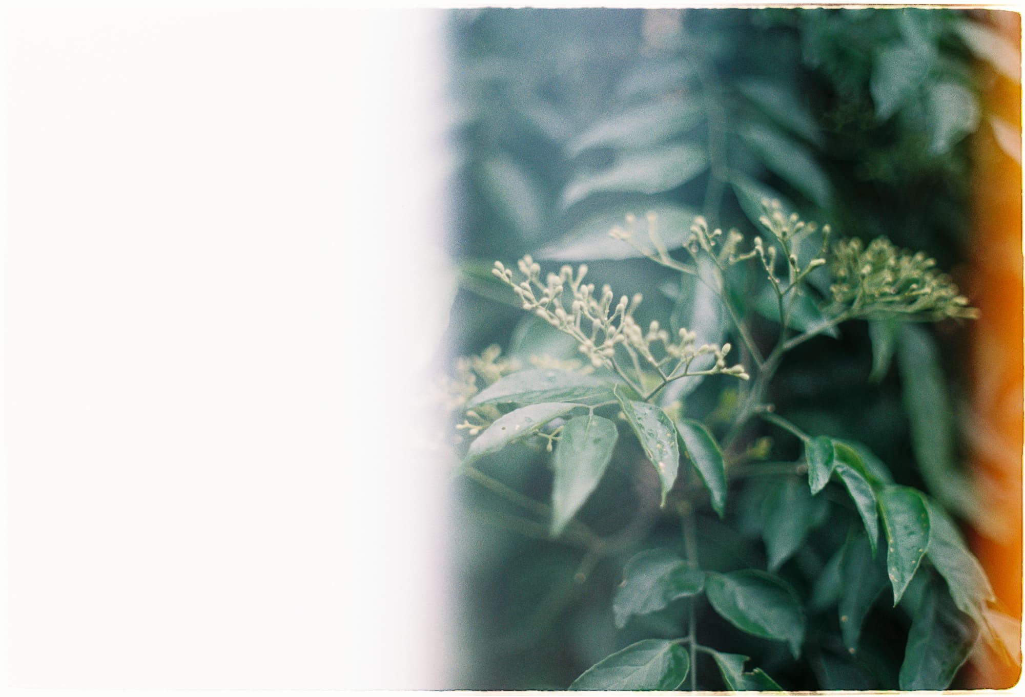 Trung tâm phát triển văn hóa đọc Nhà văn