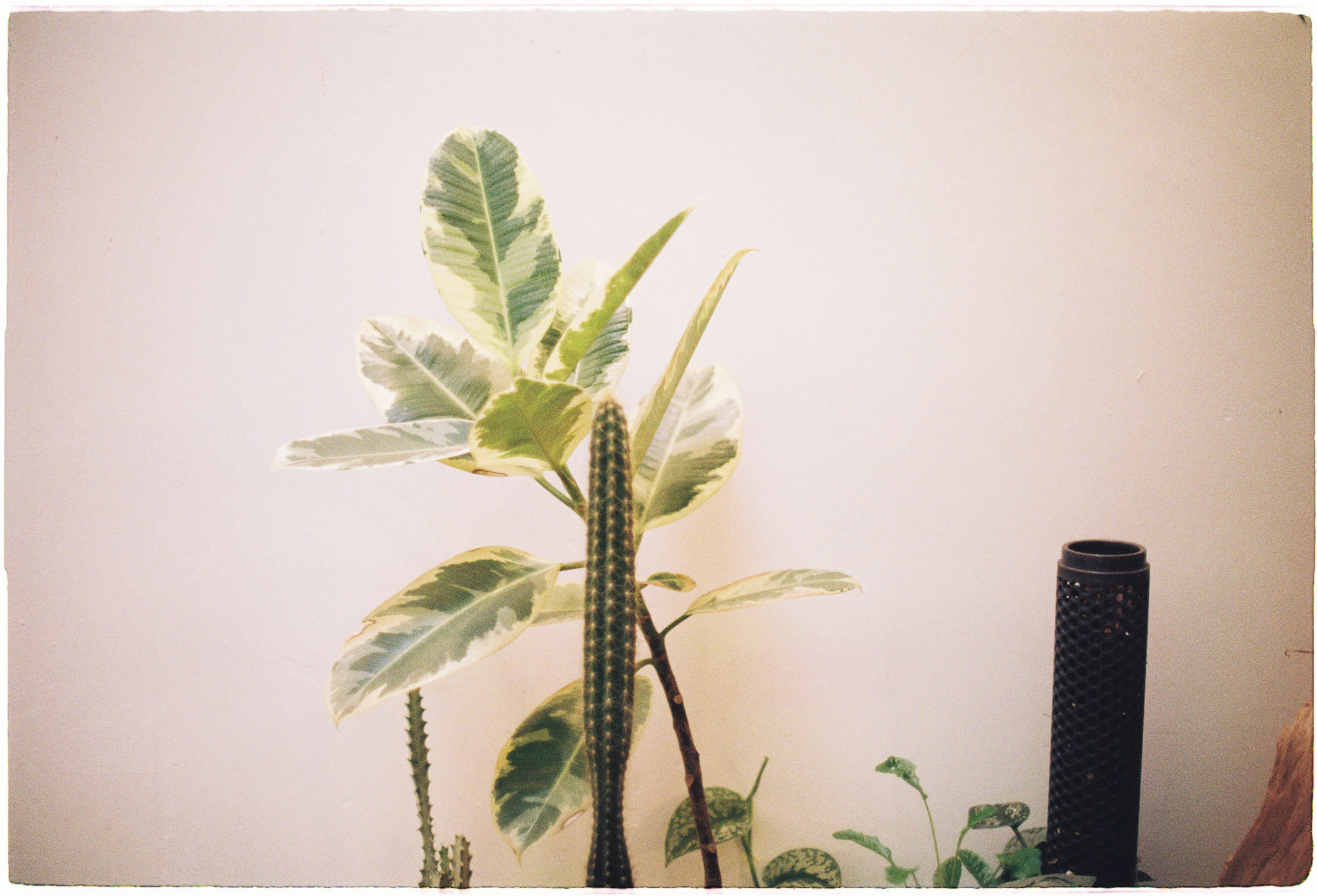 Trung tâm phát triển văn hóa đọc Nhà văn