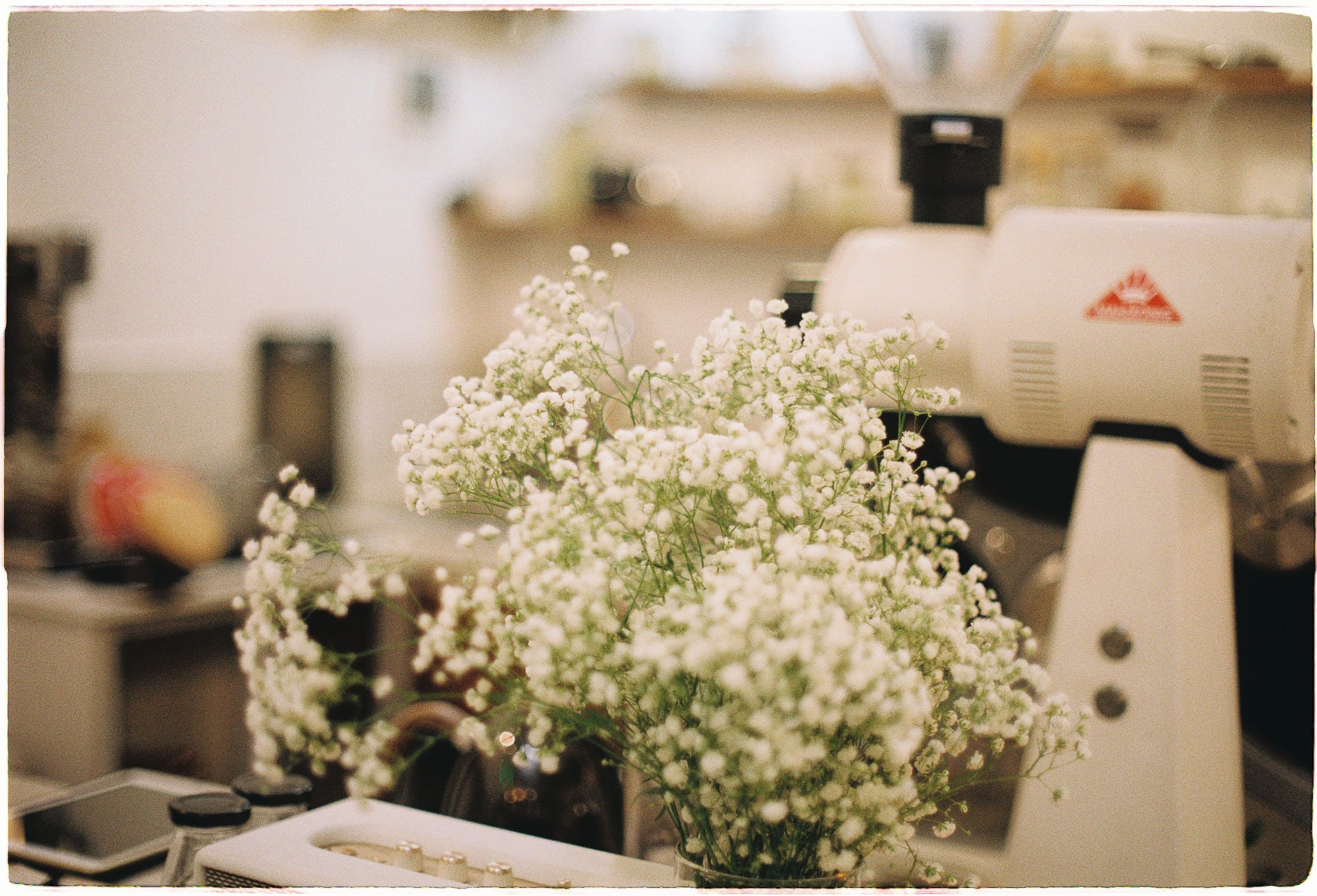 Chạy mãi không ngừng trong rừng