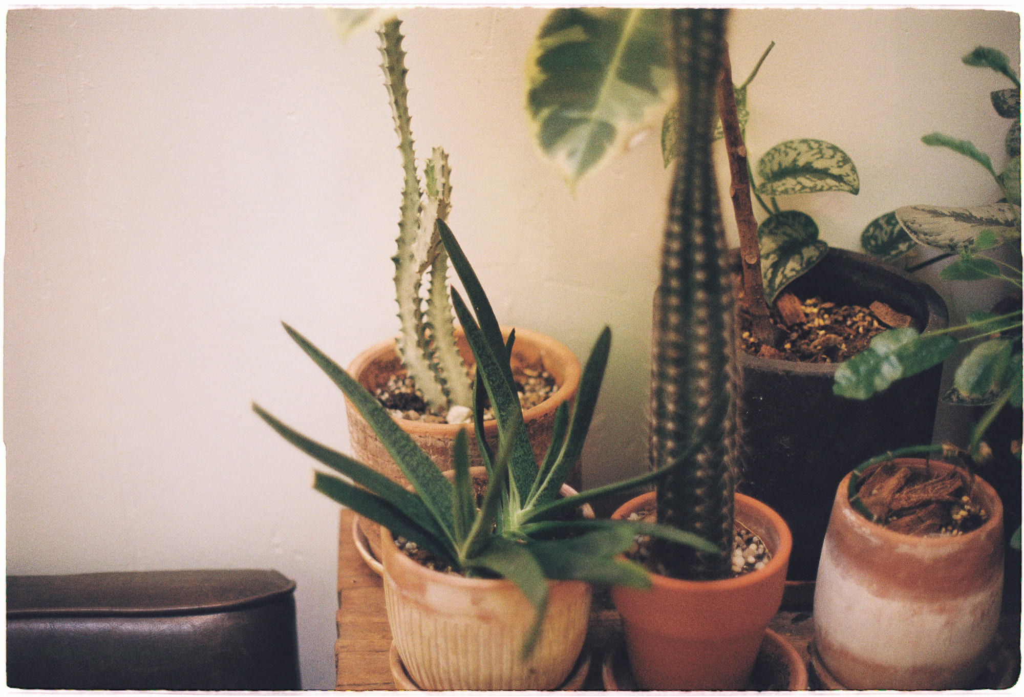 Đứt gãy ký ức và xói mòn bản sắc địa phương dưới áp lực đô thị hóa