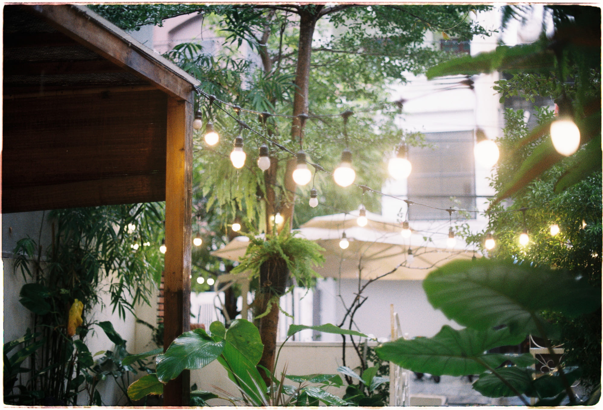 Mô hình giấc ngủ con người thay đổi theo mùa