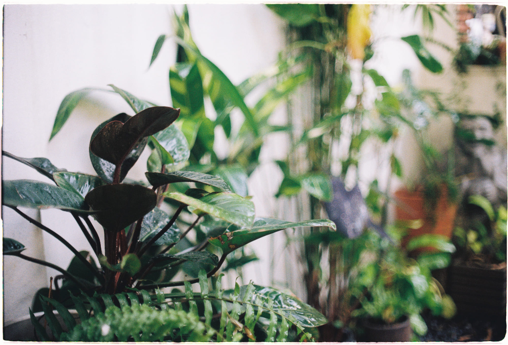 7 định hướng giúp củng cố mối quan hệ cá nhân